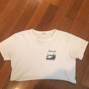 Brandy Melville Hawaii crop top